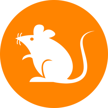 Brc20 Rats Top BRC20 Coins by Market Cap | CoinGlass